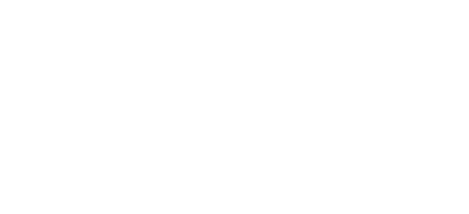 Executive Cruises Logo weiß